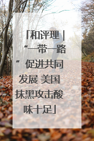 和评理｜“一带一路”促进共同发展 美国抹黑攻击酸味十足
