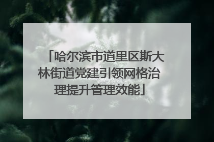 哈尔滨市道里区斯大林街道党建引领网格治理提升管理效能