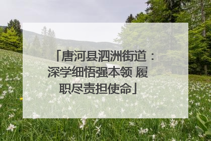 唐河县泗洲街道：深学细悟强本领 履职尽责担使命