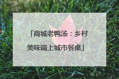 商城老鸭汤：乡村美味端上城市餐桌