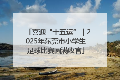 喜迎“十五运”｜2025年东莞市小学生足球比赛圆满收官