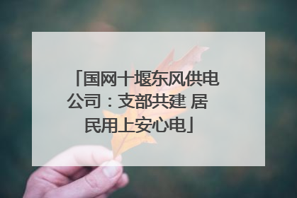 国网十堰东风供电公司：支部共建 居民用上安心电