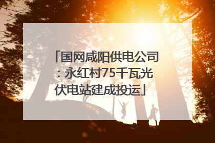国网咸阳供电公司：永红村75千瓦光伏电站建成投运