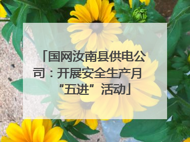 国网汝南县供电公司：开展安全生产月“五进”活动