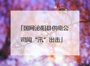 国网泌阳县供电公司闻“汛”出击