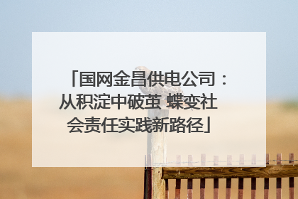 国网金昌供电公司：从积淀中破茧 蝶变社会责任实践新路径