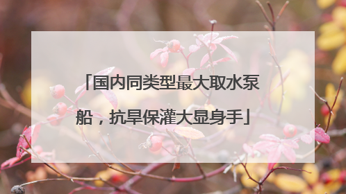 国内同类型最大取水泵船，抗旱保灌大显身手
