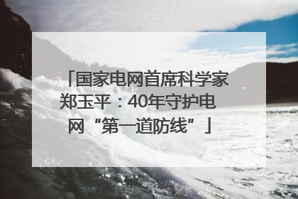 国家电网首席科学家郑玉平：40年守护电网“第一道防线”
