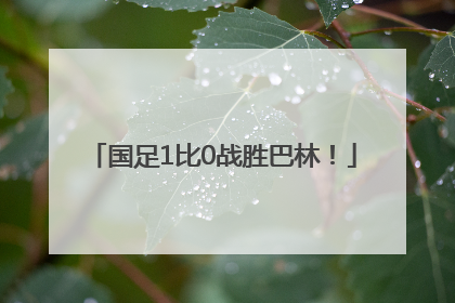国足1比0战胜巴林！