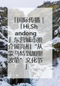 国际传播｜「Hi,Shandong」东营城市推介展亮相“从蒙马特到加里波第”文化节