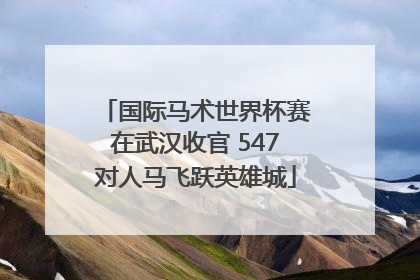 国际马术世界杯赛在武汉收官 547对人马飞跃英雄城