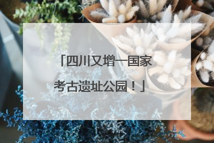 四川又增一国家考古遗址公园！