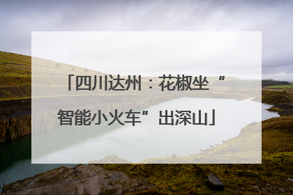 四川达州：花椒坐“智能小火车”出深山