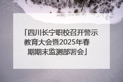 四川长宁职校召开警示教育大会暨2025年春期期末监测部署会