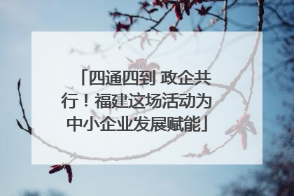 四通四到 政企共行！福建这场活动为中小企业发展赋能