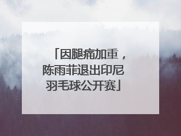 因腿痛加重，陈雨菲退出印尼羽毛球公开赛
