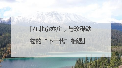 在北京亦庄，与珍稀动物的“下一代”相遇