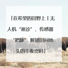 在希望的田野上丨无人机“巡诊”、传感器“把脉” 解锁田间地头的丰收密码