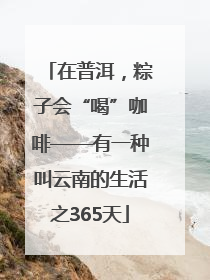 在普洱，粽子会“喝”咖啡——有一种叫云南的生活之365天