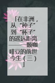 在非洲，从“种子”到“杯子”的遥远距离——一颗咖啡豆的前世今生（三）