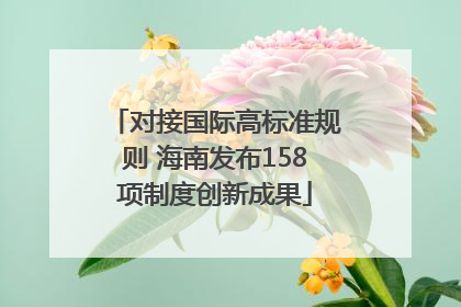 对接国际高标准规则 海南发布158项制度创新成果