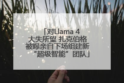 对Llama 4大失所望 扎克伯格被曝亲自下场组建新“超级智能”团队