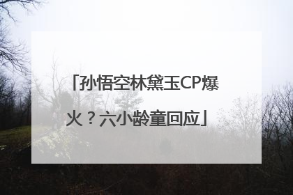 孙悟空林黛玉CP爆火？六小龄童回应