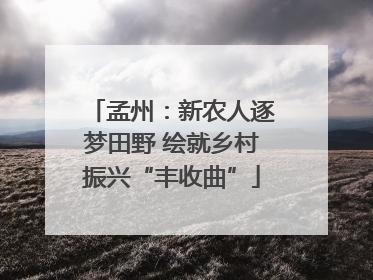 孟州：新农人逐梦田野 绘就乡村振兴“丰收曲”