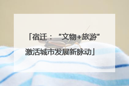 宿迁：“文物+旅游”激活城市发展新脉动