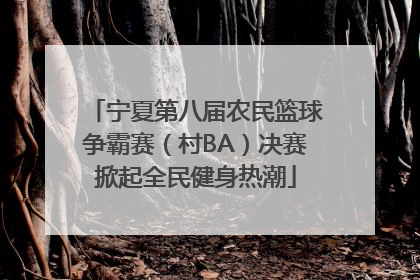 宁夏第八届农民篮球争霸赛（村BA）决赛掀起全民健身热潮