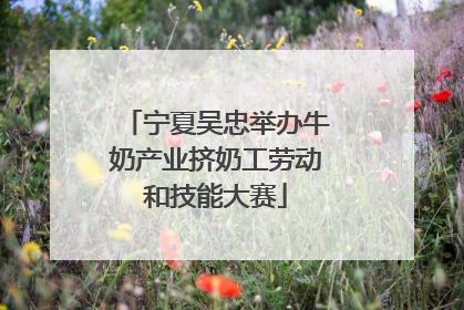 宁夏吴忠举办牛奶产业挤奶工劳动和技能大赛