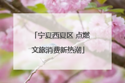 宁夏西夏区 点燃文旅消费新热潮