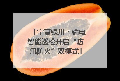 宁夏银川：输电智能巡检开启“防汛防火”双模式