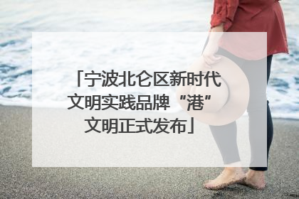 宁波北仑区新时代文明实践品牌“港”文明正式发布