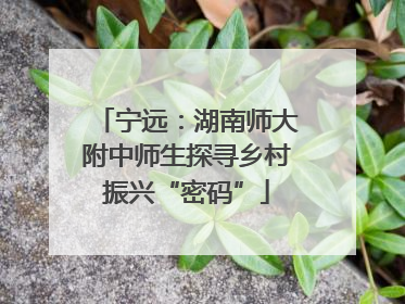 宁远：湖南师大附中师生探寻乡村振兴“密码”