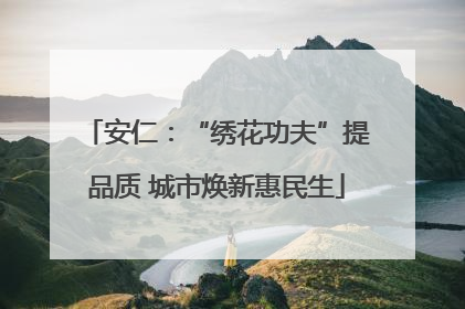 安仁：“绣花功夫”提品质 城市焕新惠民生