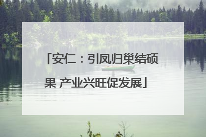 安仁：引凤归巢结硕果 产业兴旺促发展