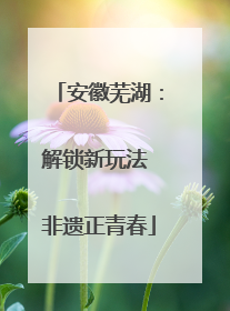 安徽芜湖：解锁新玩法 非遗正青春