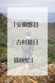 安徽黟县：古村夏日插秧忙