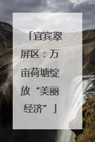 宜宾翠屏区：万亩荷塘绽放“美丽经济”