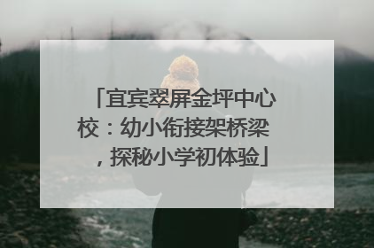 宜宾翠屏金坪中心校：幼小衔接架桥梁，探秘小学初体验