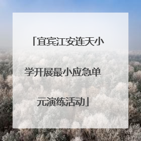 宜宾江安连天小学开展最小应急单元演练活动