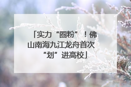 实力“圈粉”！佛山南海九江龙舟首次“划”进高校