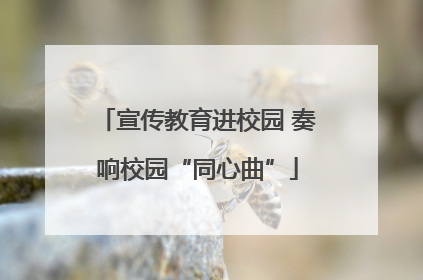 宣传教育进校园 奏响校园“同心曲”