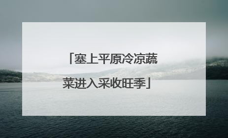 塞上平原冷凉蔬菜进入采收旺季