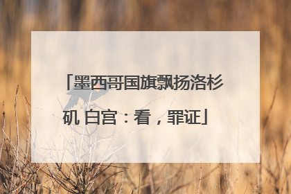 墨西哥国旗飘扬洛杉矶 白宫：看，罪证