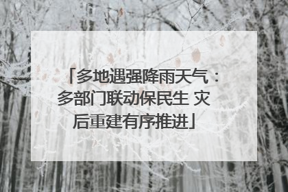 多地遇强降雨天气：多部门联动保民生 灾后重建有序推进