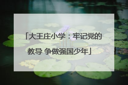 大王庄小学：牢记党的教导 争做强国少年