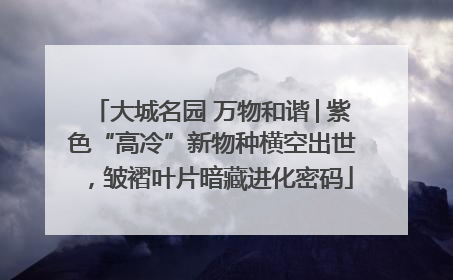 大城名园 万物和谐│紫色“高冷”新物种横空出世，皱褶叶片暗藏进化密码
