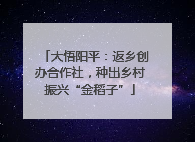 大悟阳平：返乡创办合作社，种出乡村振兴“金稻子”